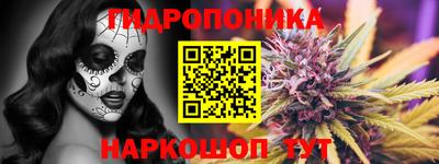 молекула духа Гудермес