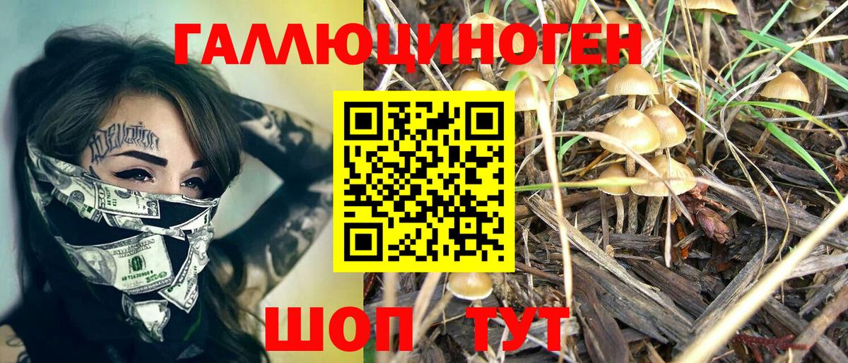 Галлюциногенные грибы Psilocybine cubensis  купить   Вход с VPN  Трёхгорный  Галлюциногенные грибы Psilocybine cubensis 