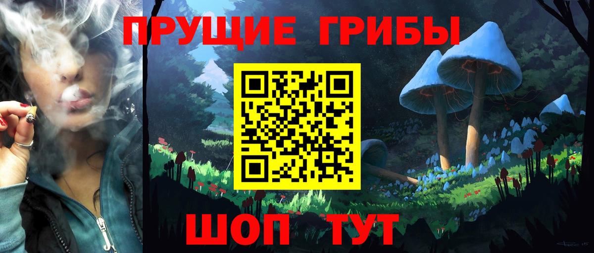 Псилоцибиновые грибы прущие грибы Трёхгорный